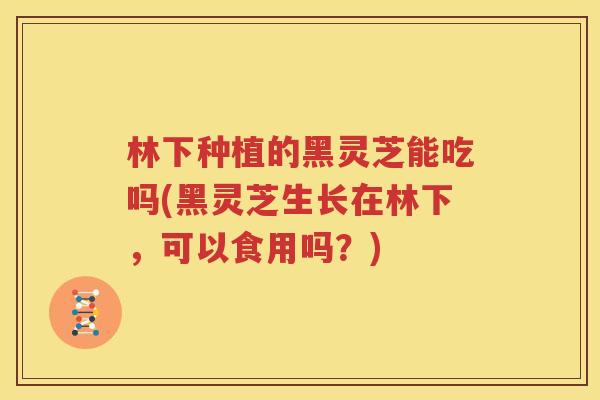林下种植的黑灵芝能吃吗(黑灵芝生长在林下，可以食用吗？)