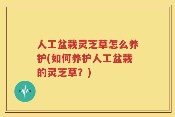 人工盆栽灵芝草怎么养护(如何养护人工盆栽的灵芝草？)