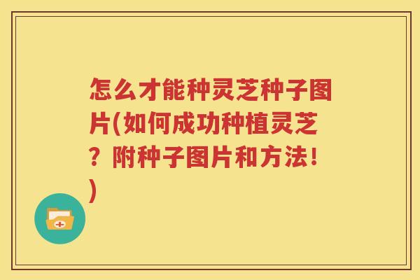 怎么才能种灵芝种子图片(如何成功种植灵芝？附种子图片和方法！)