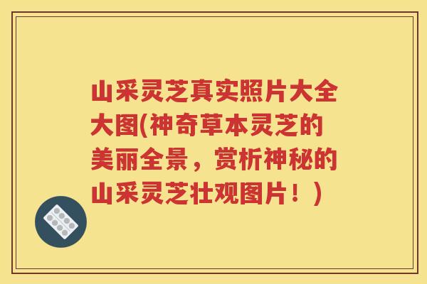 山采灵芝真实照片大全大图(神奇草本灵芝的美丽全景，赏析神秘的山采灵芝壮观图片！)