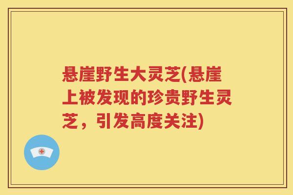 悬崖野生大灵芝(悬崖上被发现的珍贵野生灵芝，引发高度关注)