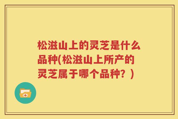 松滋山上的灵芝是什么品种(松滋山上所产的灵芝属于哪个品种？)