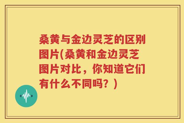 桑黄与金边灵芝的区别图片(桑黄和金边灵芝图片对比，你知道它们有什么不同吗？)