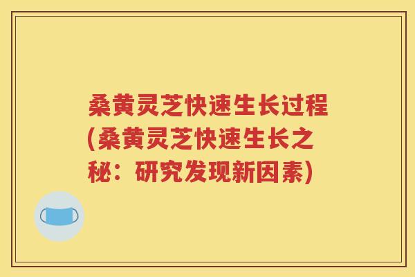 桑黄灵芝快速生长过程(桑黄灵芝快速生长之秘：研究发现新因素)
