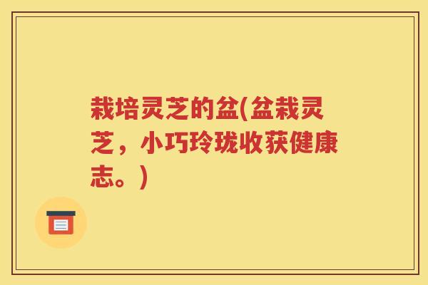 栽培灵芝的盆(盆栽灵芝，小巧玲珑收获健康志。)
