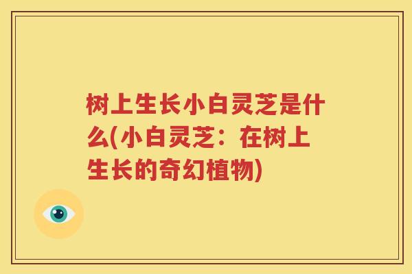 树上生长小白灵芝是什么(小白灵芝：在树上生长的奇幻植物)