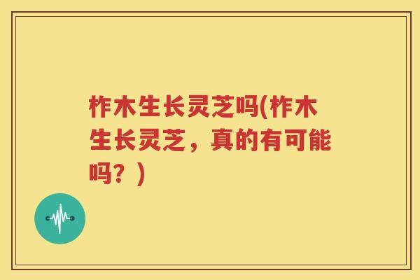 柞木生长灵芝吗(柞木生长灵芝，真的有可能吗？)