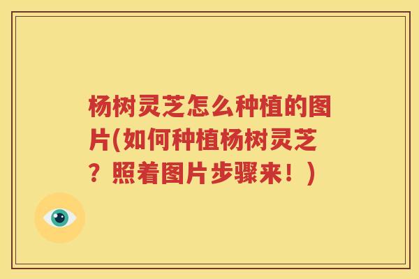 杨树灵芝怎么种植的图片(如何种植杨树灵芝？照着图片步骤来！)