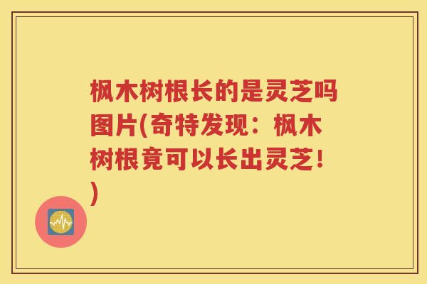 枫木树根长的是灵芝吗图片(奇特发现：枫木树根竟可以长出灵芝！)