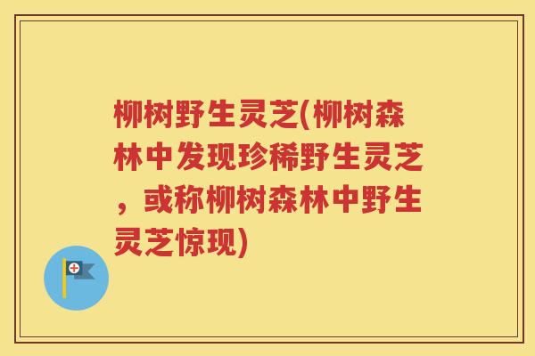 柳树野生灵芝(柳树森林中发现珍稀野生灵芝，或称柳树森林中野生灵芝惊现)
