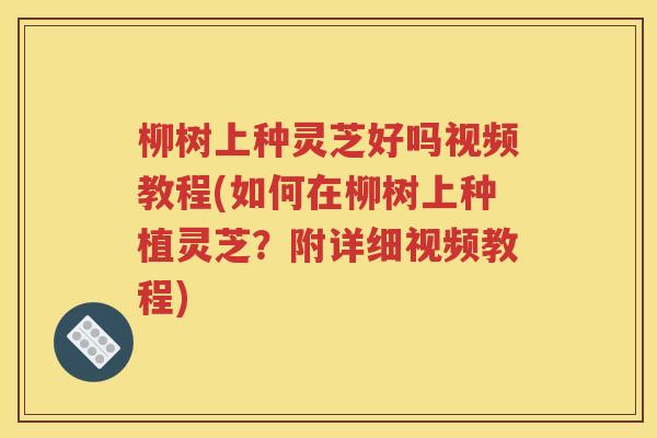 柳树上种灵芝好吗视频教程(如何在柳树上种植灵芝？附详细视频教程)