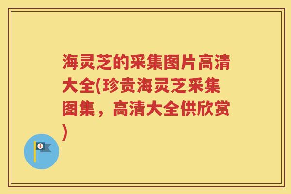 海灵芝的采集图片高清大全(珍贵海灵芝采集图集，高清大全供欣赏)