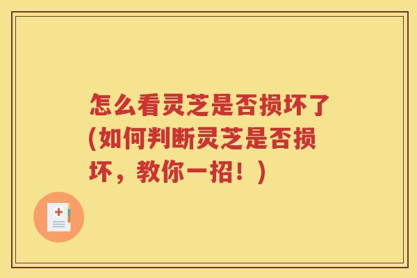 怎么看灵芝是否损坏了(如何判断灵芝是否损坏，教你一招！)