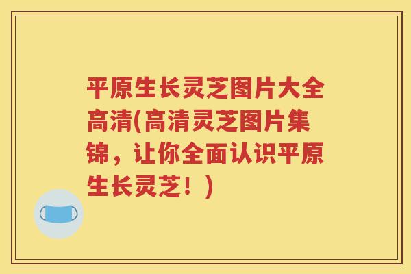 平原生长灵芝图片大全高清(高清灵芝图片集锦，让你全面认识平原生长灵芝！)