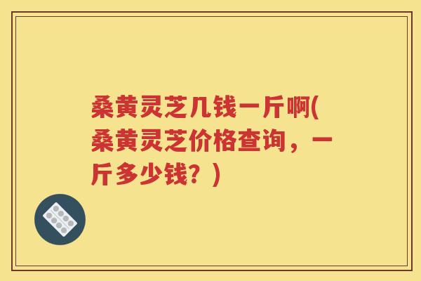 桑黄灵芝几钱一斤啊(桑黄灵芝价格查询，一斤多少钱？)