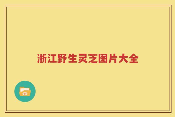 浙江野生灵芝图片大全