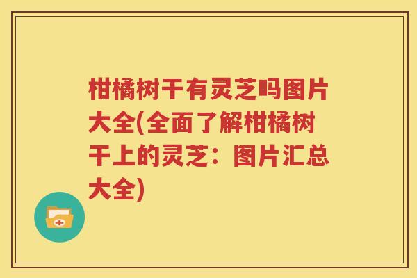 柑橘树干有灵芝吗图片大全(全面了解柑橘树干上的灵芝：图片汇总大全)