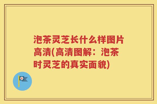 泡茶灵芝长什么样图片高清(高清图解：泡茶时灵芝的真实面貌)