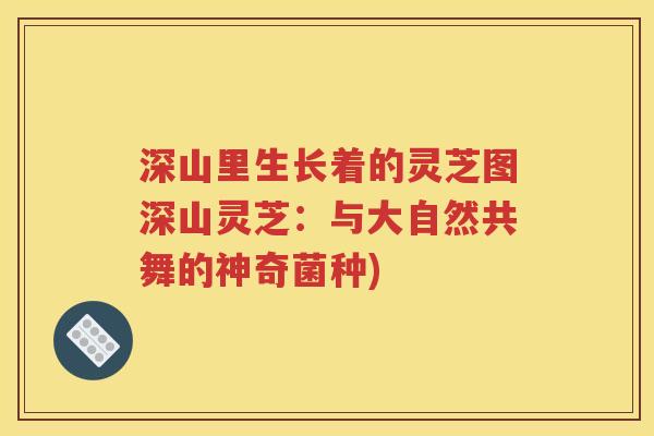 深山里生长着的灵芝图深山灵芝：与大自然共舞的神奇菌种)