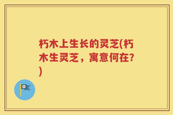 朽木上生长的灵芝(朽木生灵芝，寓意何在？)