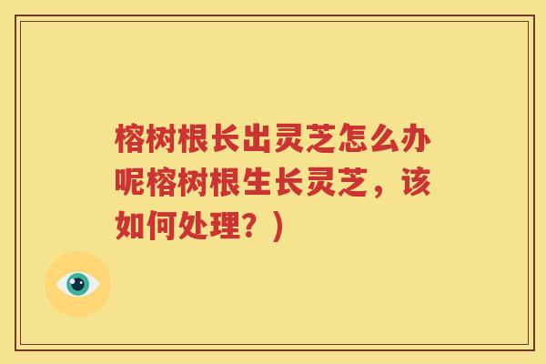 榕树根长出灵芝怎么办呢榕树根生长灵芝，该如何处理？)