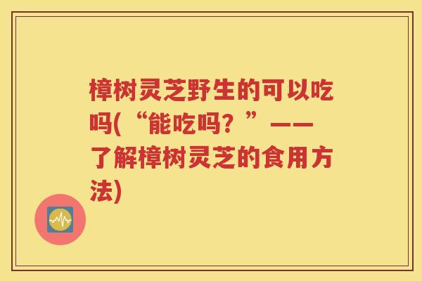 樟树灵芝野生的可以吃吗(“能吃吗？”——了解樟树灵芝的食用方法)
