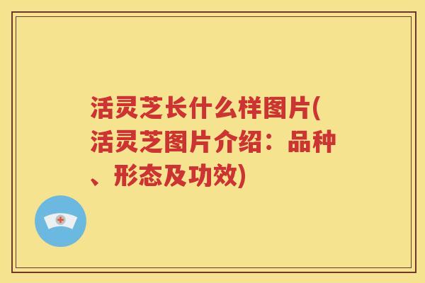 活灵芝长什么样图片(活灵芝图片介绍：品种、形态及功效)
