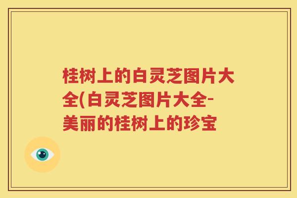 桂树上的白灵芝图片大全(白灵芝图片大全-美丽的桂树上的珍宝