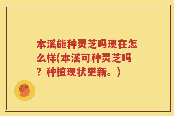 本溪能种灵芝吗现在怎么样(本溪可种灵芝吗？种植现状更新。)