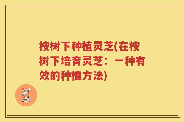 桉树下种植灵芝(在桉树下培育灵芝：一种有效的种植方法)