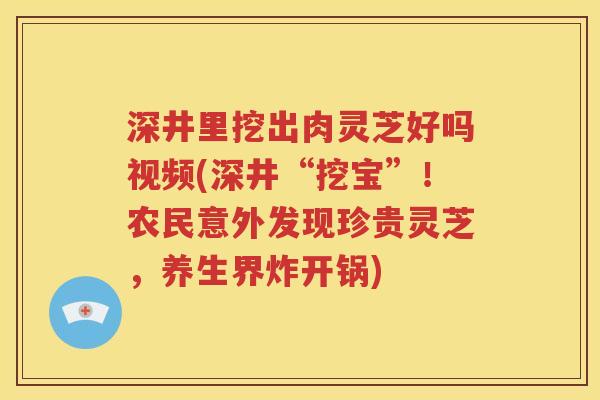 深井里挖出肉灵芝好吗视频(深井“挖宝”！农民意外发现珍贵灵芝，养生界炸开锅)