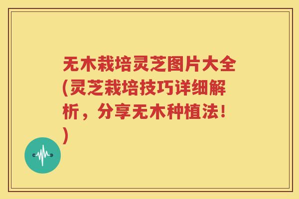 无木栽培灵芝图片大全(灵芝栽培技巧详细解析，分享无木种植法！)