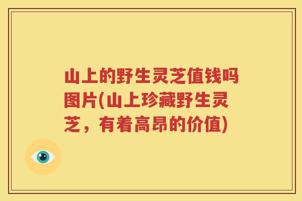 山上的野生灵芝值钱吗图片(山上珍藏野生灵芝，有着高昂的价值)