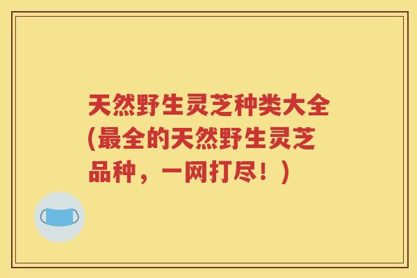 天然野生灵芝种类大全(最全的天然野生灵芝品种，一网打尽！)