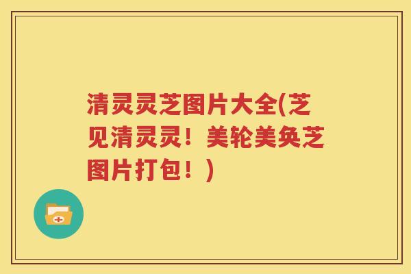 清灵灵芝图片大全(芝见清灵灵！美轮美奂芝图片打包！)