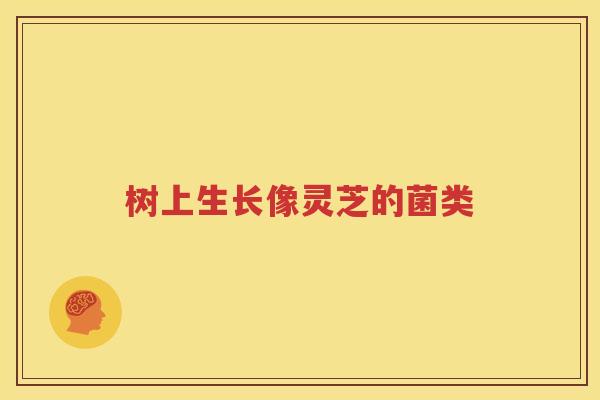 树上生长像灵芝的菌类
