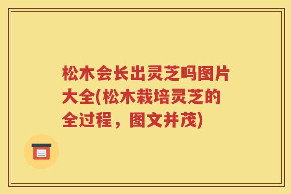 松木会长出灵芝吗图片大全(松木栽培灵芝的全过程，图文并茂)