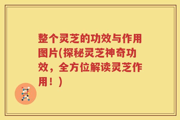 整个灵芝的功效与作用图片(探秘灵芝神奇功效，全方位解读灵芝作用！)