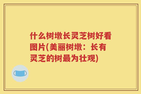 什么树墩长灵芝树好看图片(美丽树墩：长有灵芝的树最为壮观)
