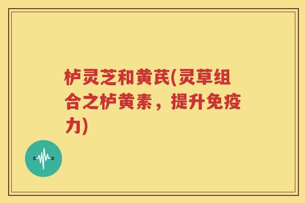 栌灵芝和黄芪(灵草组合之栌黄素，提升免疫力)