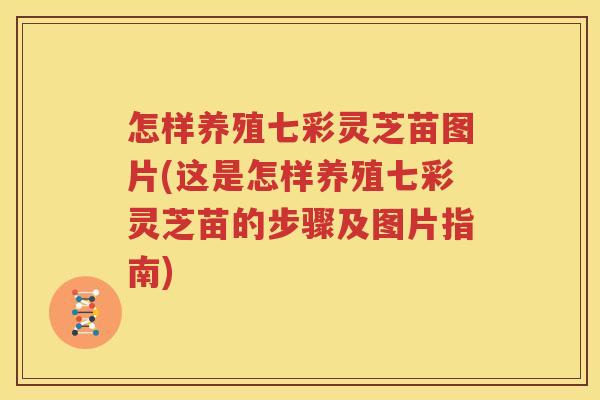 怎样养殖七彩灵芝苗图片(这是怎样养殖七彩灵芝苗的步骤及图片指南)