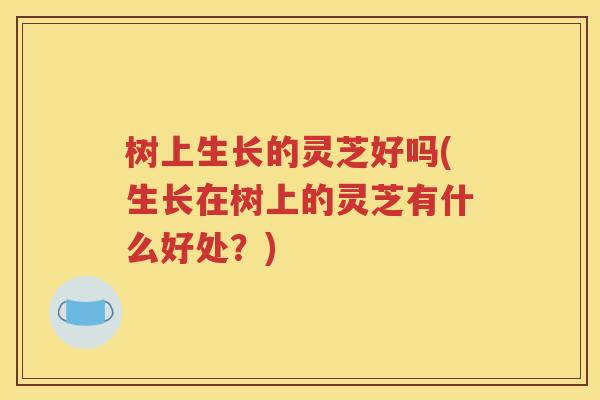 树上生长的灵芝好吗(生长在树上的灵芝有什么好处？)