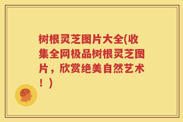树根灵芝图片大全(收集全网极品树根灵芝图片，欣赏绝美自然艺术！)