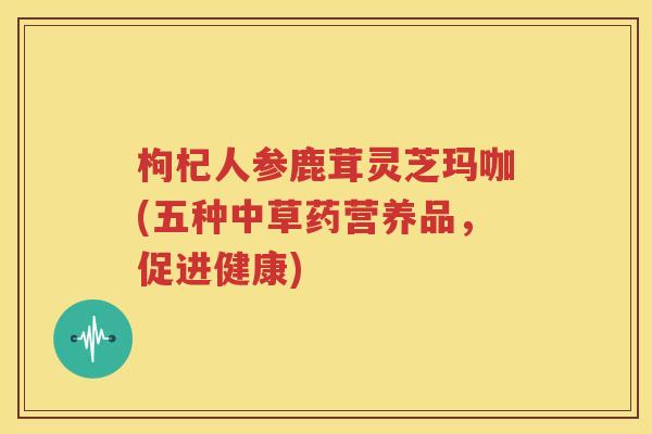 枸杞人参鹿茸灵芝玛咖(五种中草药营养品，促进健康)