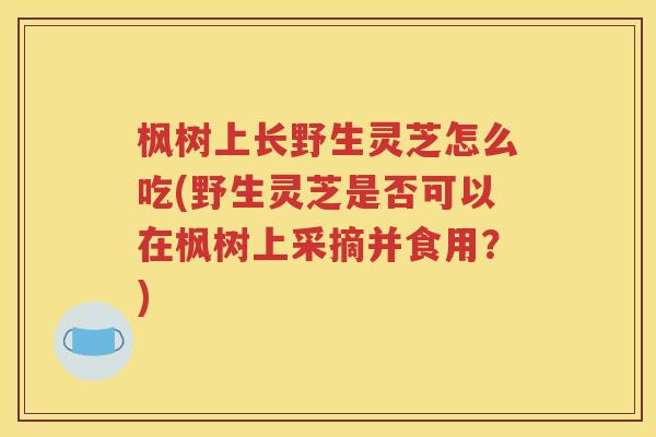 枫树上长野生灵芝怎么吃(野生灵芝是否可以在枫树上采摘并食用？)