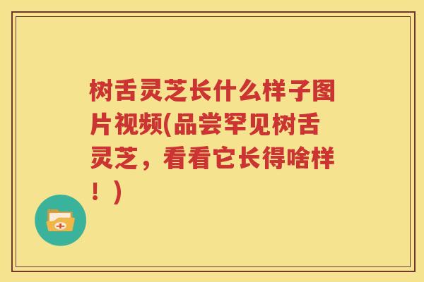 树舌灵芝长什么样子图片视频(品尝罕见树舌灵芝，看看它长得啥样！)