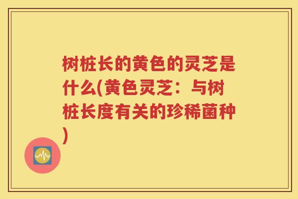 树桩长的黄色的灵芝是什么(黄色灵芝：与树桩长度有关的珍稀菌种)