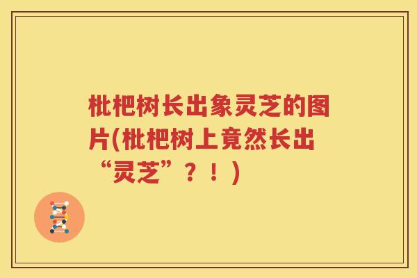 枇杷树长出象灵芝的图片(枇杷树上竟然长出“灵芝”？！)