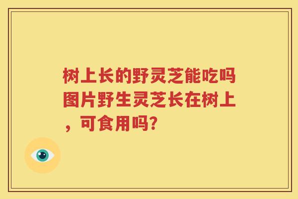 树上长的野灵芝能吃吗图片野生灵芝长在树上，可食用吗？