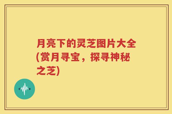 月亮下的灵芝图片大全(赏月寻宝，探寻神秘之芝)